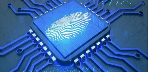 在AMOLED演進下，人機介面技術仍需進一步突破-貢振邦