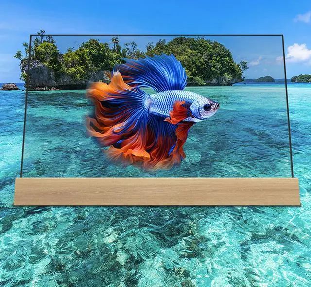 飛利浦推出55英寸透明OLED電視，售價(jià)66900元
