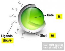 有機EL電視VS液晶電視 誰更出色