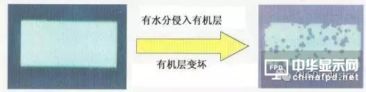 從OLED器件工藝、材料到屏幕設計及試驗線設備采購